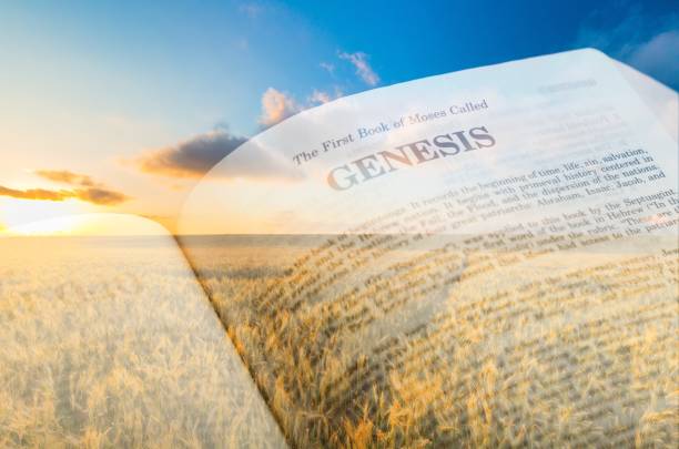 创世 - chuàng shì