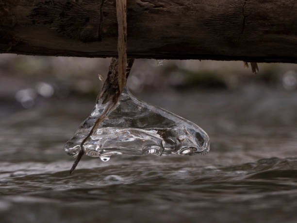 悬冰 - xuán bīng