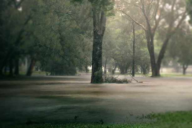 冲淹 - chōng yān