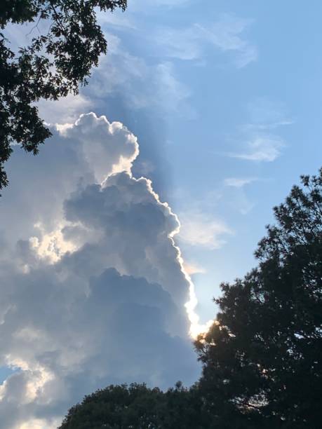 雄长 - xióng zhǎng