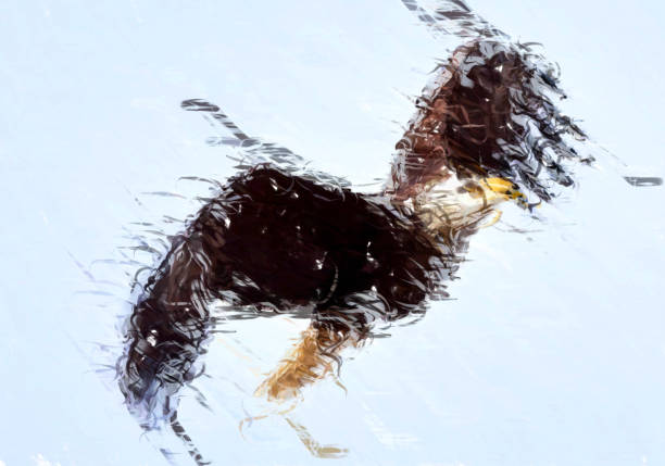 鹰犬 - yīng quǎn