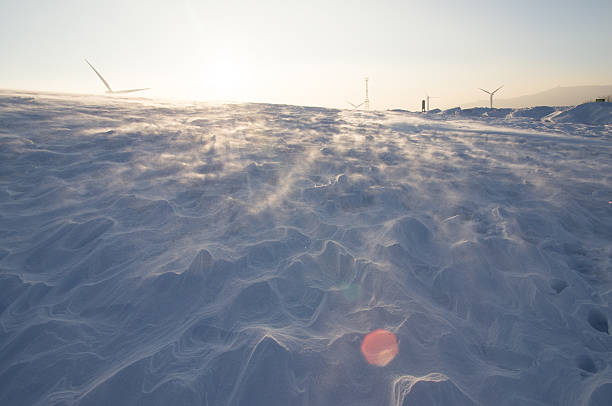 冻风 - dòng fēng