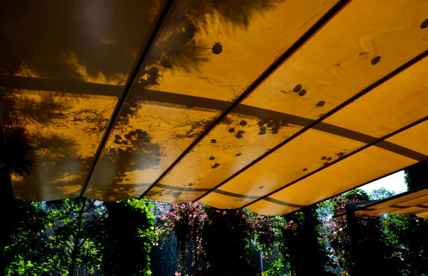 天棚 - tiān péng