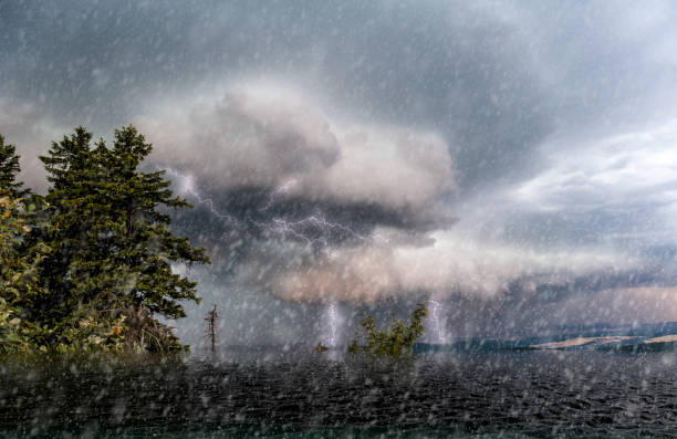 涛声 - tāo shēng