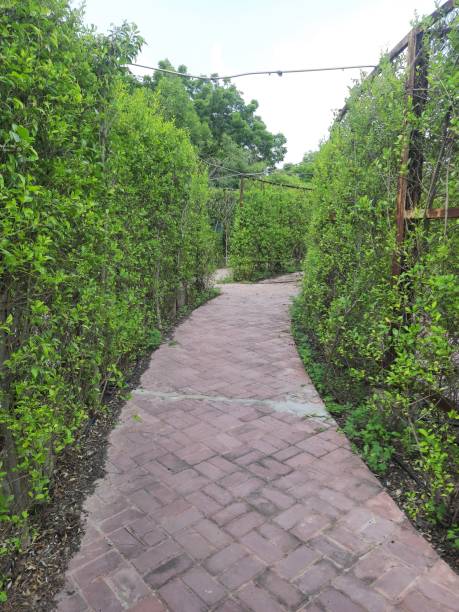 径庭 - jìng tíng