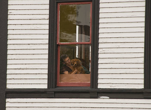 窗友 - chuāng yǒu