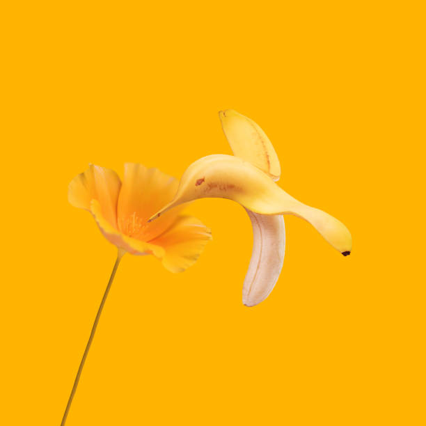 健身 - jiàn shēn