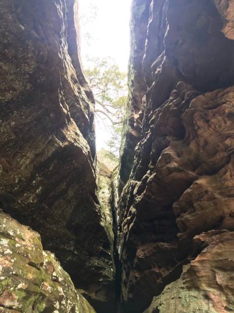 高腔 - gāo qiāng