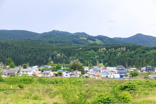 垌田 - dòng tián