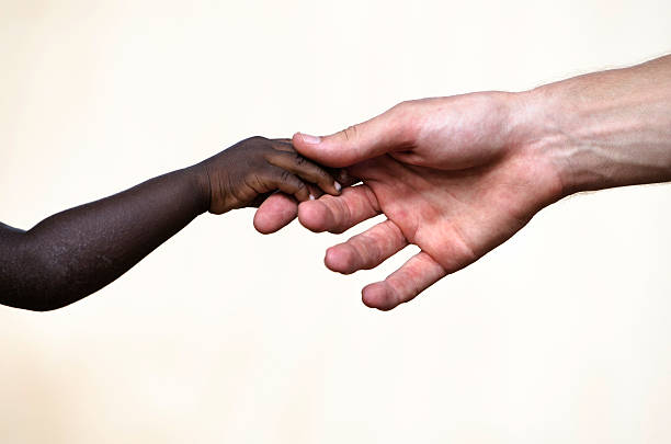 收养 - shōu yǎng