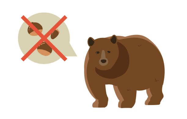 冬眠 - dōng mián