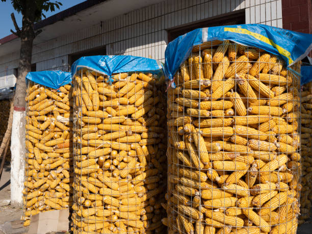 仓房 - cāng fáng