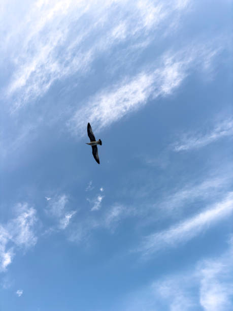 冲天 - chōng tiān