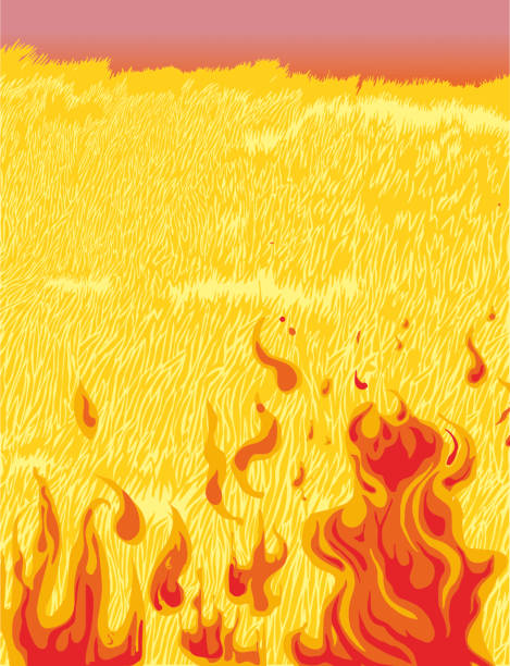 火场 - huǒ chǎng