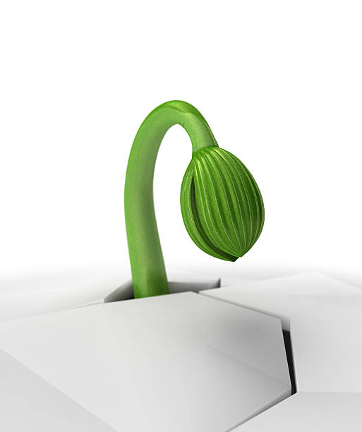 涌现 - yǒng xiàn