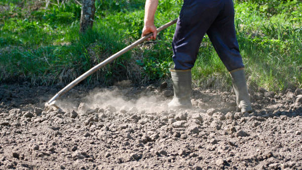 耕种 - gēng zhòng