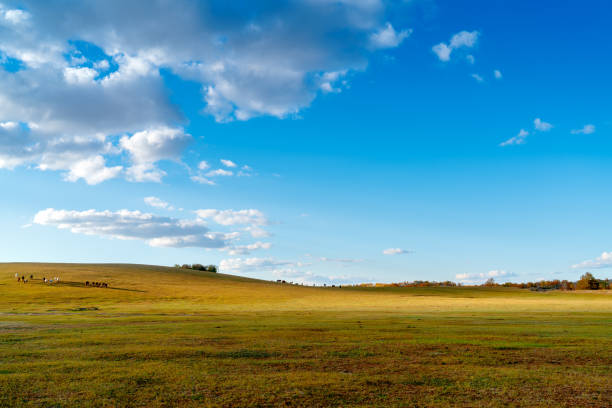 平原 - píng yuán