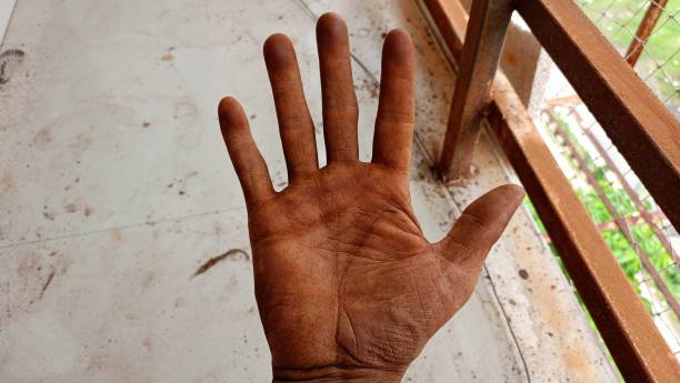 生手 - shēng shǒu