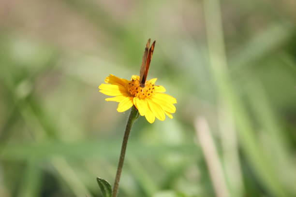 相通 - xiāng tōng