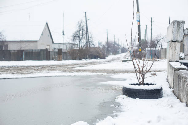 穷冬 - qióng dōng