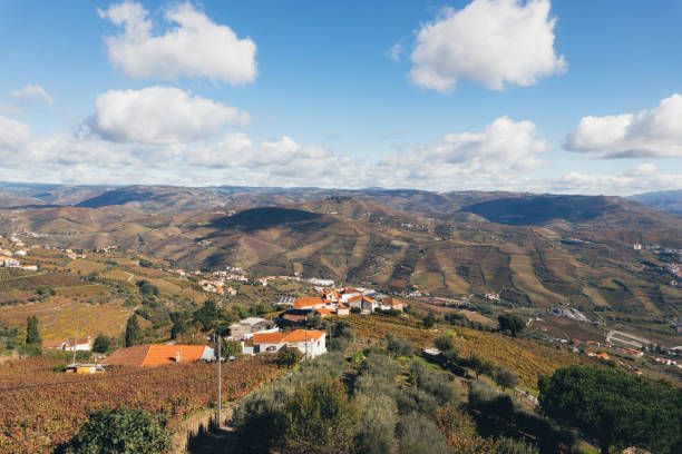 照片 - zhào piàn