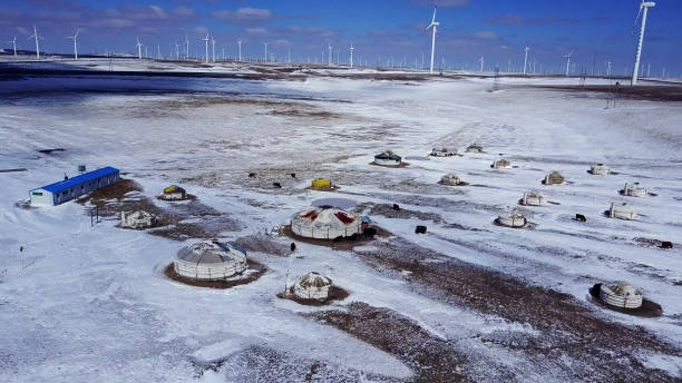 绵羊 - mián yáng