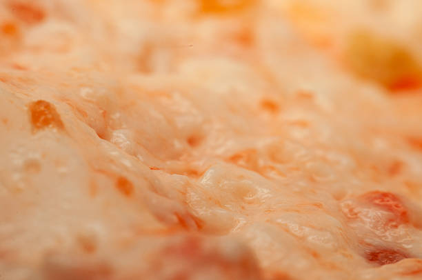 纸浆 - zhǐ jiāng