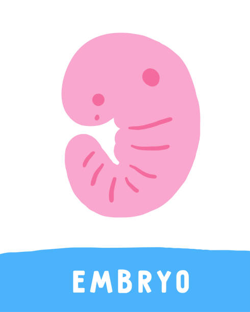 萌生 - méng shēng