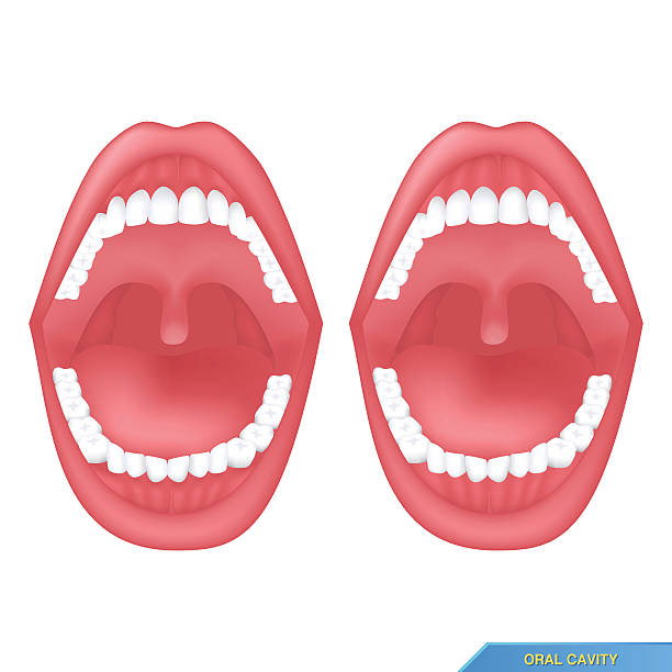 口腔 - kǒu qiāng