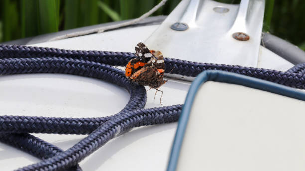 上将 - shàng jiàng