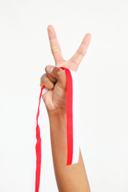 险胜 - xiǎn shèng