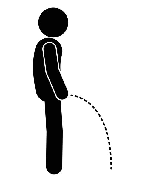 小便 - xiǎo biàn