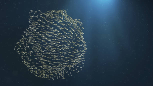 蜂拥 - fēng yōng