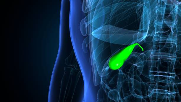 肾囊 - shèn náng