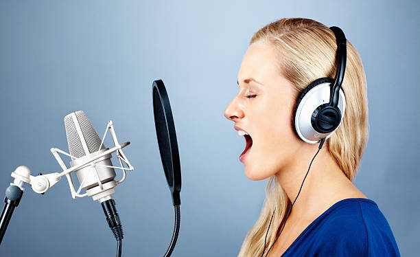 声辩 - shēng biàn