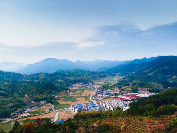 玄青 - xuán qīng