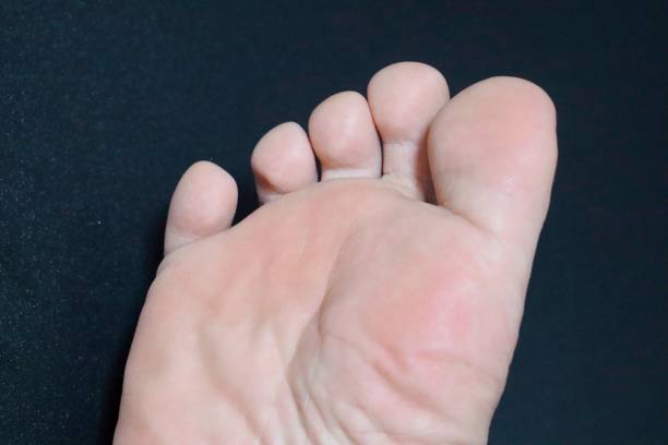 前脚 - qián jiǎo