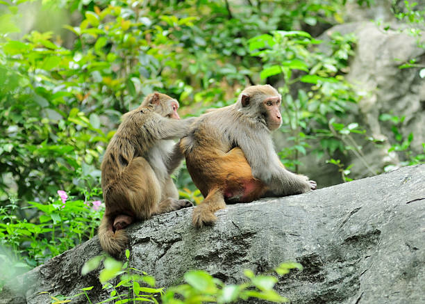 专注 - zhuān zhù