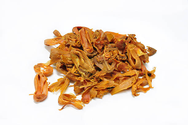 钉锤 - dìng chuí