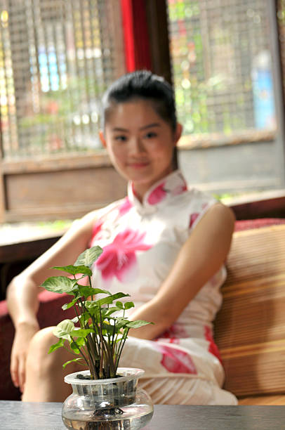 夭殇 - yāo shāng