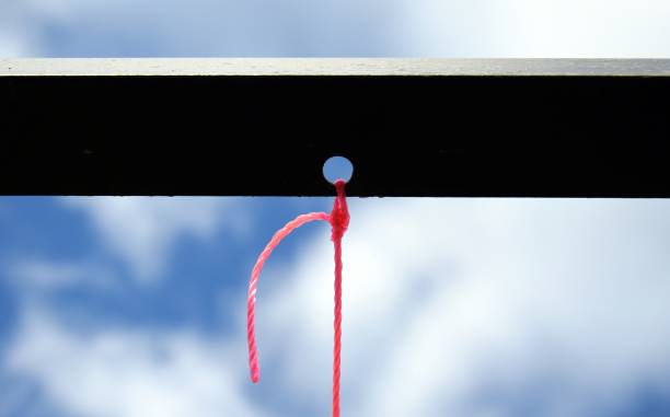 定弦 - dìng xián