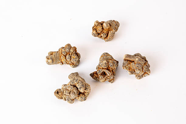 中药 - zhōng yào