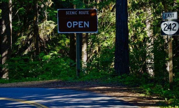 开荒 - kāi huāng