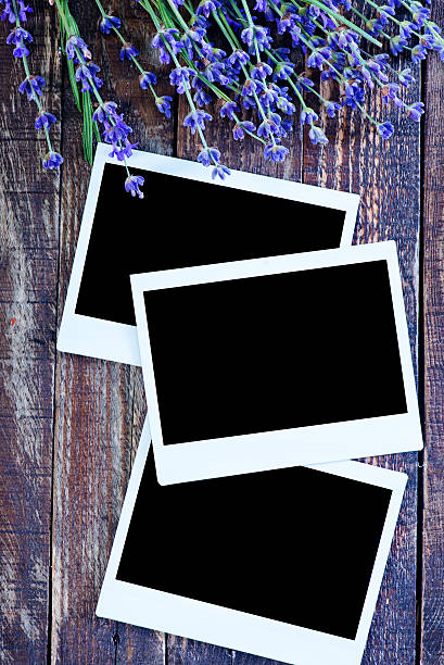 相片 - xiàng piàn