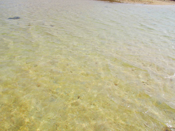 浅说 - qiǎn shuō