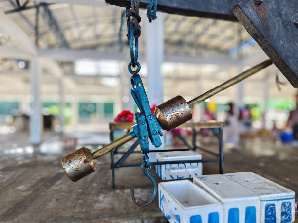 秤杆 - chèng gǎn