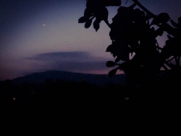 编磬 - biān qìng