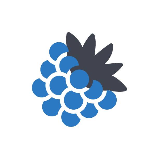 浆果 - jiāng guǒ