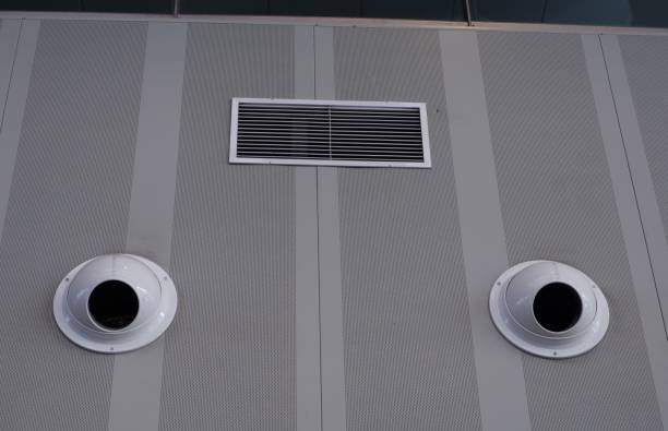 风动 - fēng dòng