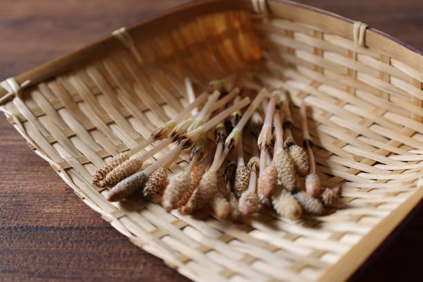 成串 - chéng chuàn